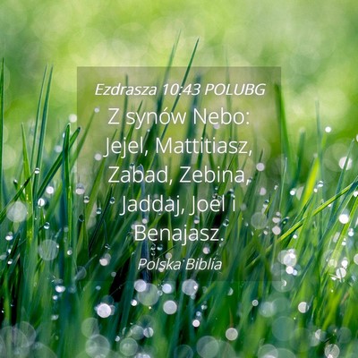 Picture 04 - Ezdrasza 10:43 POLUBG - Z synów Nebo: Jejel, Mattitiasz, Zabad, Zebina, - Bible Verse Picture