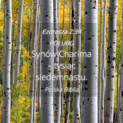 Picture 04 - Ezdrasza 2:39 POLUBG - Synów Charima – tysiąc - Bible Verse Picture