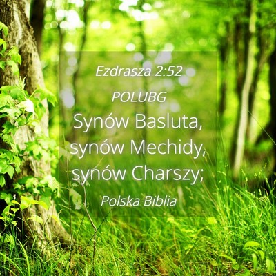 Picture 04 - Ezdrasza 2:52 POLUBG - Synów Basluta, synów Mechidy, synów - Bible Verse Picture