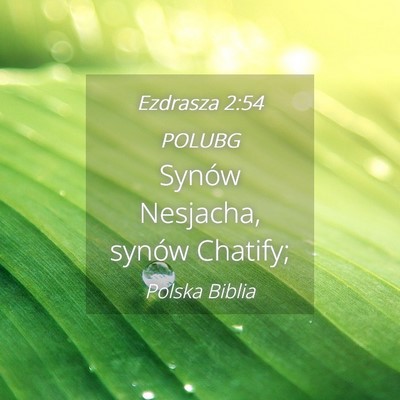 Picture 04 - Ezdrasza 2:54 POLUBG - Synów Nesjacha, synów - Bible Verse Picture