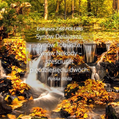 Picture 04 - Ezdrasza 2:60 POLUBG - Synów Delajasza, synów Tobiasza, synów Nekody - Bible Verse Picture