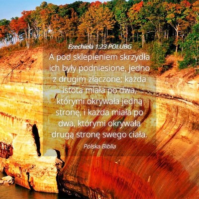 Picture 04 - Ezechiela 1:23 POLUBG - A pod sklepieniem skrzydła ich były - Bible Verse Picture