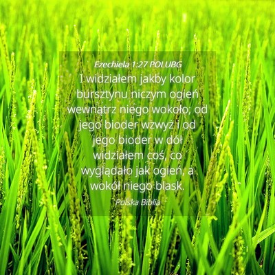 Picture 04 - Ezechiela 1:27 POLUBG - I widziałem jakby kolor bursztynu niczym ogień - Bible Verse Picture