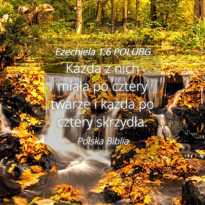 Picture 04 - Ezechiela 1:6 POLUBG - Każda z nich miała po cztery twarze i każda po - Bible Verse Picture