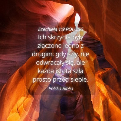 Picture 04 - Ezechiela 1:9 POLUBG - Ich skrzydła były złączone jedno z drugim; - Bible Verse Picture