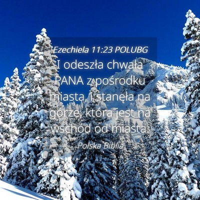 Picture 04 - Ezechiela 11:23 POLUBG - I odeszła chwała PANA z pośrodku miasta, i - Bible Verse Picture