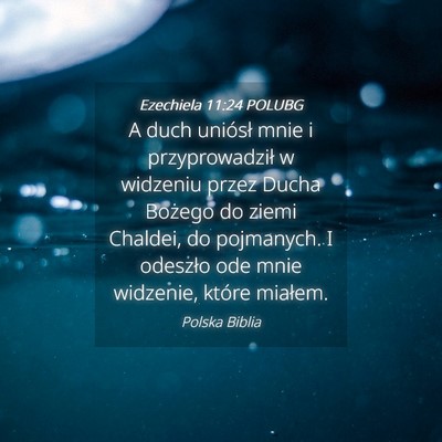 Picture 04 - Ezechiela 11:24 POLUBG - A duch uniósł mnie i przyprowadził w widzeniu - Bible Verse Picture