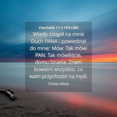 Picture 04 - Ezechiela 11:5 POLUBG - Wtedy zstąpił na mnie Duch PANA i powiedział - Bible Verse Picture