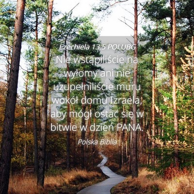 Picture 04 - Ezechiela 13:5 POLUBG - Nie wstąpiliście na wyłomy ani nie - Bible Verse Picture