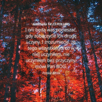 Picture 04 - Ezechiela 14:23 POLUBG - I oni będą was pocieszać, gdy zobaczycie ich - Bible Verse Picture