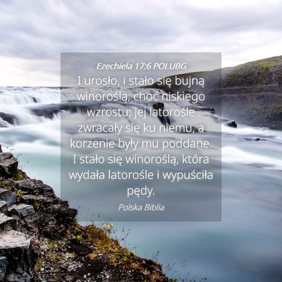 Picture 04 - Ezechiela 17:6 POLUBG - I urosło, i stało się bujną winoroślą, - Bible Verse Picture