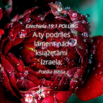 Picture 04 - Ezechiela 19:1 POLUBG - A ty podnieś lament nad książętami - Bible Verse Picture