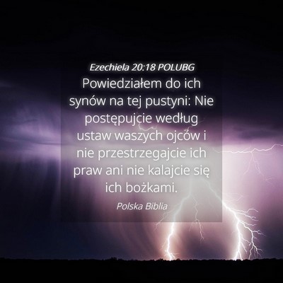 Picture 04 - Ezechiela 20:18 POLUBG - Powiedziałem do ich synów na tej pustyni: Nie - Bible Verse Picture