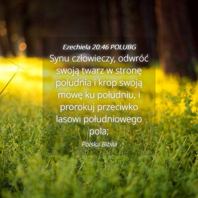 Picture 04 - Ezechiela 20:46 POLUBG - Synu człowieczy, odwróć swoją twarz w stronę - Bible Verse Picture