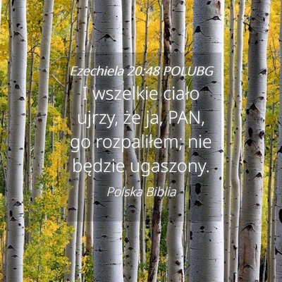 Picture 04 - Ezechiela 20:48 POLUBG - I wszelkie ciało ujrzy, że ja, PAN, go - Bible Verse Picture