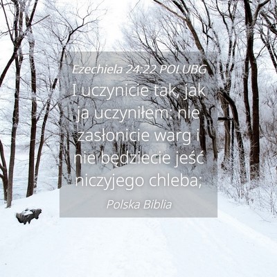 Picture 04 - Ezechiela 24:22 POLUBG - I uczynicie tak, jak ja uczyniłem: nie - Bible Verse Picture