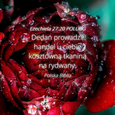 Picture 04 - Ezechiela 27:20 POLUBG - Dedan prowadził handel u ciebie kosztowną - Bible Verse Picture