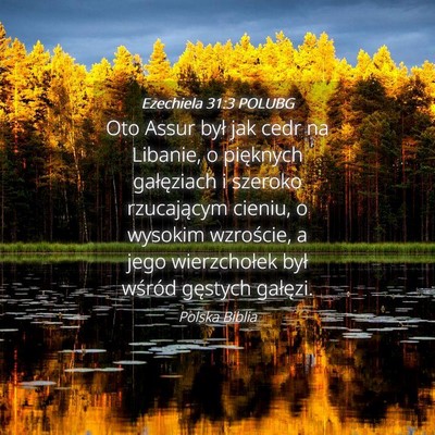 Picture 04 - Ezechiela 31:3 POLUBG - Oto Assur był jak cedr na Libanie, o pięknych - Bible Verse Picture