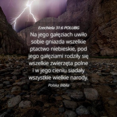 Picture 04 - Ezechiela 31:6 POLUBG - Na jego gałęziach uwiło sobie gniazda wszelkie - Bible Verse Picture