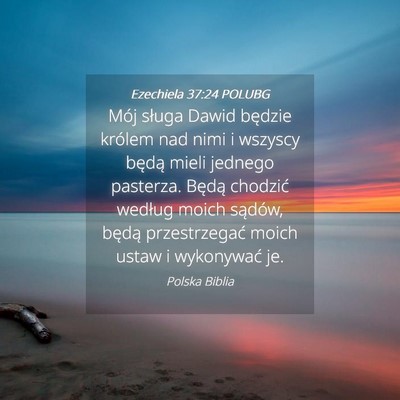 Picture 04 - Ezechiela 37:24 POLUBG - Mój sługa Dawid będzie królem nad nimi i - Bible Verse Picture