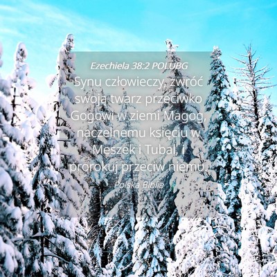 Picture 04 - Ezechiela 38:2 POLUBG - Synu człowieczy, zwróć swoją twarz przeciwko - Bible Verse Picture