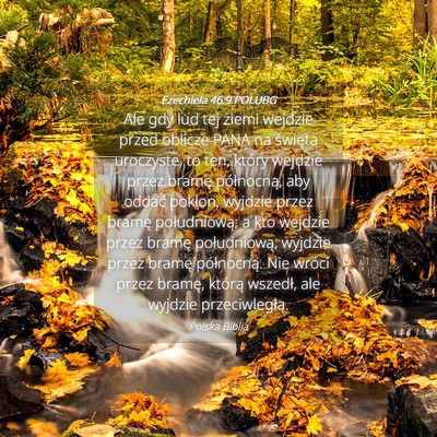 Picture 04 - Ezechiela 46:9 POLUBG - Ale gdy lud tej ziemi wejdzie przed oblicze PANA - Bible Verse Picture