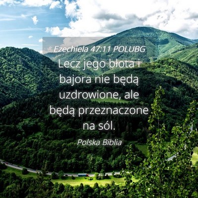 Picture 04 - Ezechiela 47:11 POLUBG - Lecz jego błota i bajora nie będą uzdrowione, - Bible Verse Picture