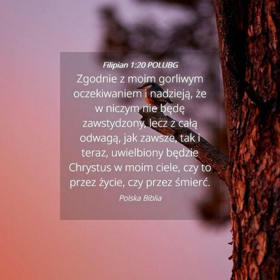 Picture 04 - Filipian 1:20 POLUBG - Zgodnie z moim gorliwym oczekiwaniem i nadzieją, - Bible Verse Picture