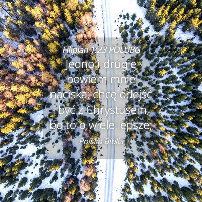 Picture 04 - Filipian 1:23 POLUBG - Jedno i drugie bowiem mnie naciska: chcę - Bible Verse Picture