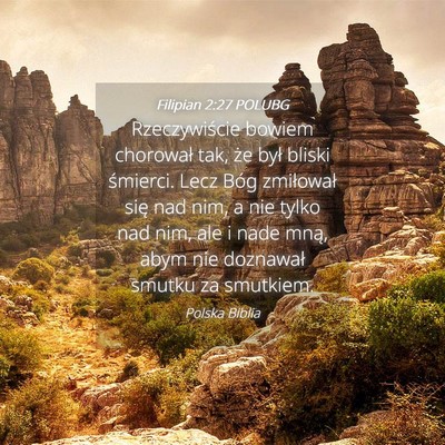 Picture 04 - Filipian 2:27 POLUBG - Rzeczywiście bowiem chorował tak, że był - Bible Verse Picture