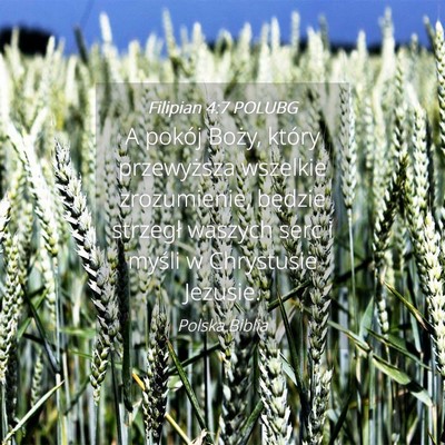 Picture 04 - Filipian 4:7 POLUBG - A pokój Boży, który przewyższa wszelkie - Bible Verse Picture