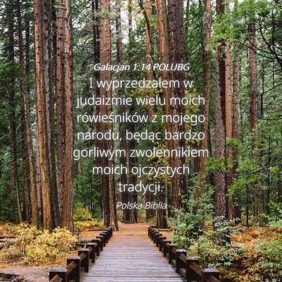 Picture 04 - Galacjan 1:14 POLUBG - I wyprzedzałem w judaizmie wielu moich - Bible Verse Picture