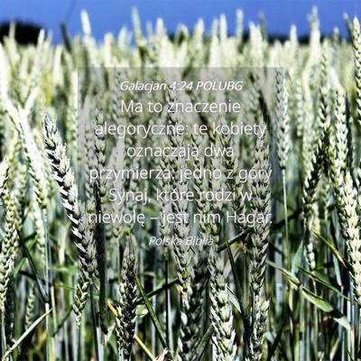 Picture 04 - Galacjan 4:24 POLUBG - Ma to znaczenie alegoryczne: te kobiety - Bible Verse Picture