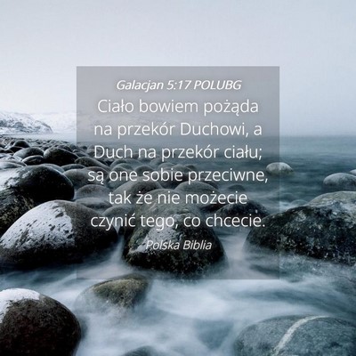 Picture 04 - Galacjan 5:17 POLUBG - Ciało bowiem pożąda na przekór Duchowi, a - Bible Verse Picture