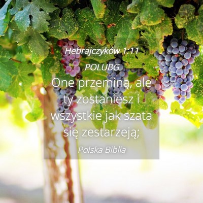 Picture 04 - Hebrajczyków 1:11 POLUBG - One przeminą, ale ty zostaniesz i wszystkie jak - Bible Verse Picture