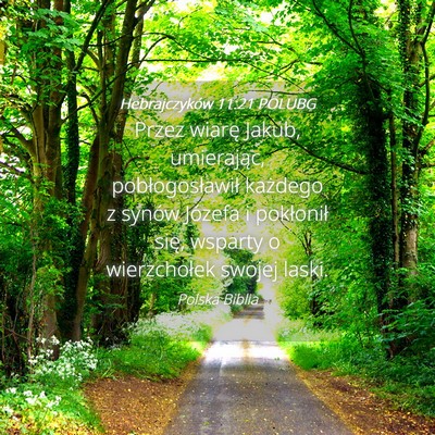 Picture 04 - Hebrajczyków 11:21 POLUBG - Przez wiarę Jakub, umierając, pobłogosławił - Bible Verse Picture