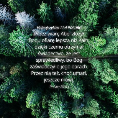 Picture 04 - Hebrajczyków 11:4 POLUBG - Przez wiarę Abel złożył Bogu ofiarę lepszą - Bible Verse Picture