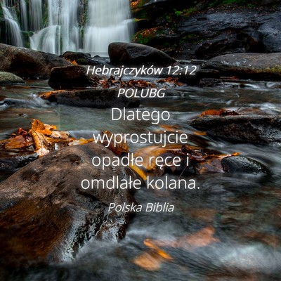 Picture 04 - Hebrajczyków 12:12 POLUBG - Dlatego wyprostujcie opadłe ręce i omdlałe - Bible Verse Picture