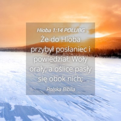 Picture 04 - Hioba 1:14 POLUBG - Że do Hioba przybył posłaniec i powiedział: - Bible Verse Picture