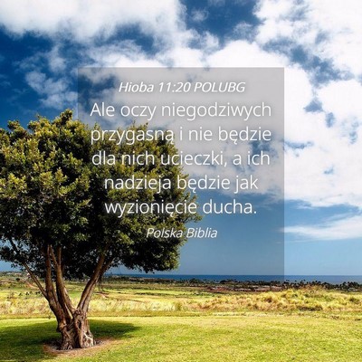 Picture 04 - Hioba 11:20 POLUBG - Ale oczy niegodziwych przygasną i nie będzie - Bible Verse Picture
