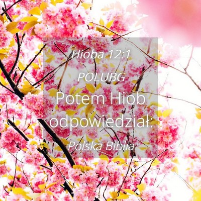 Picture 04 - Hioba 12:1 POLUBG - Potem Hiob - Bible Verse Picture