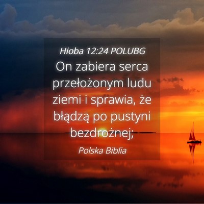 Picture 04 - Hioba 12:24 POLUBG - On zabiera serca przełożonym ludu ziemi i - Bible Verse Picture