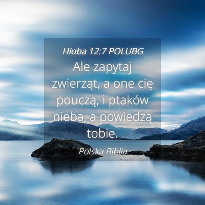 Picture 04 - Hioba 12:7 POLUBG - Ale zapytaj zwierząt, a one cię pouczą, i - Bible Verse Picture