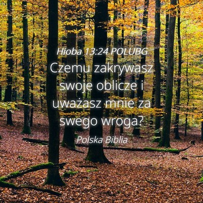 Picture 04 - Hioba 13:24 POLUBG - Czemu zakrywasz swoje oblicze i uważasz mnie za - Bible Verse Picture