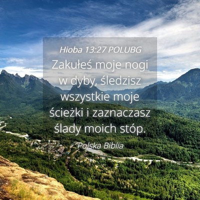 Picture 04 - Hioba 13:27 POLUBG - Zakułeś moje nogi w dyby, śledzisz wszystkie - Bible Verse Picture