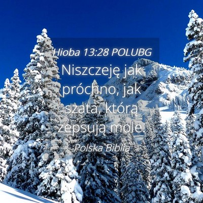 Picture 04 - Hioba 13:28 POLUBG - Niszczeję jak próchno, jak szata, którą - Bible Verse Picture