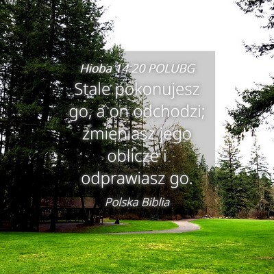 Picture 04 - Hioba 14:20 POLUBG - Stale pokonujesz go, a on odchodzi; zmieniasz - Bible Verse Picture