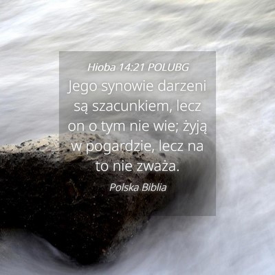 Picture 04 - Hioba 14:21 POLUBG - Jego synowie darzeni są szacunkiem, lecz on o - Bible Verse Picture