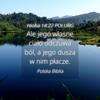 Picture 04 - Hioba 14:22 POLUBG - Ale jego własne ciało odczuwa ból, a jego - Bible Verse Picture