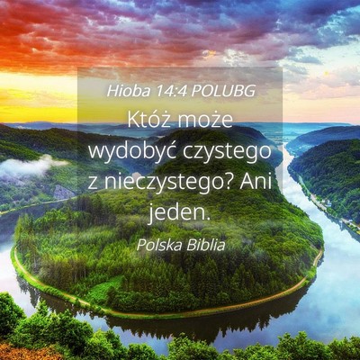 Picture 04 - Hioba 14:4 POLUBG - Któż może wydobyć czystego z nieczystego? Ani - Bible Verse Picture